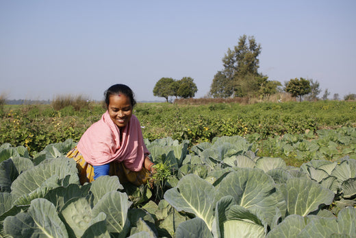 Jivan, Nepal